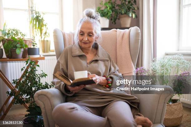 relaxed senior woman sitting in armchair and reading book indoors at home. - hygge stockfoto's en -beelden