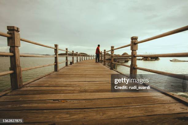 back view of man walking on boardwalk - voetgangersbrug stockfoto's en -beelden