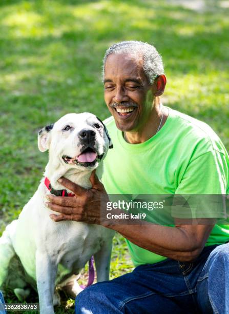 senior african-american man sitting on grass petting dog - animal volunteer stock pictures, royalty-free photos & images