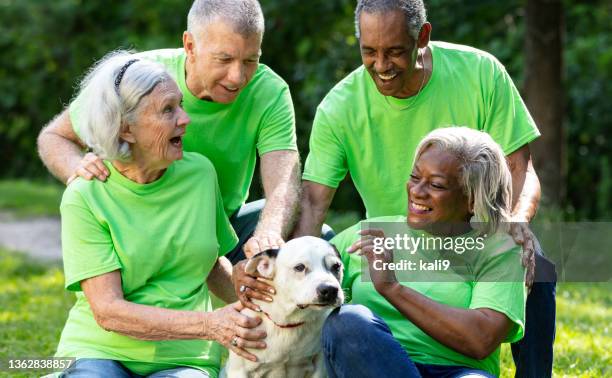 quattro anziani fanno volontariato al rifugio per animali domestici, giocano con il cane - pet clothing foto e immagini stock