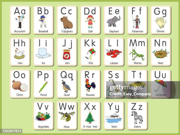 vektorabbildung der alphabet-karte a-z groß- oder kleinbuchstaben für anfänger abc - leselernkarte stock-grafiken, -clipart, -cartoons und -symbole
