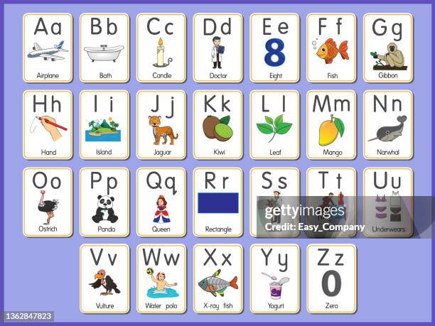 illustrations, cliparts, dessins animés et icônes de illustration vectorielle de l’alphabet carte flash a-z lettres majuscules ou minuscules pour débutants abc - ordre alphabétique