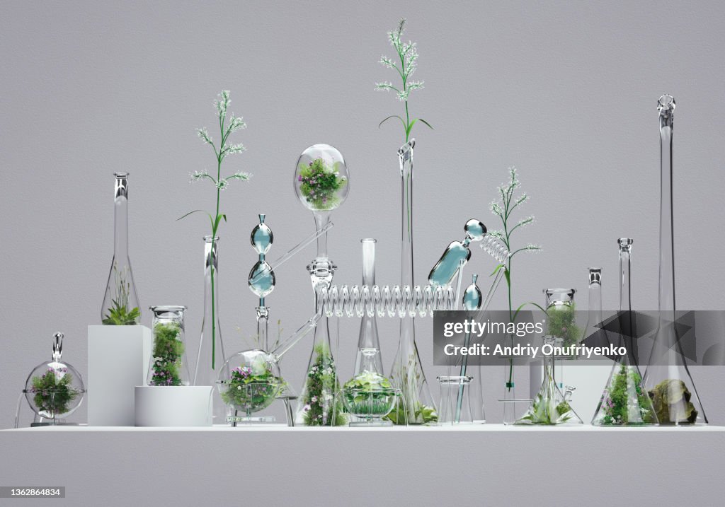 Ecosystem