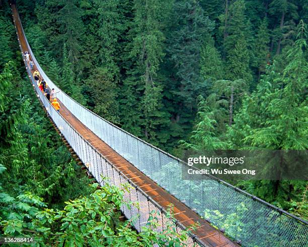 capilano suspension bridge - hängebrücke stock-fotos und bilder