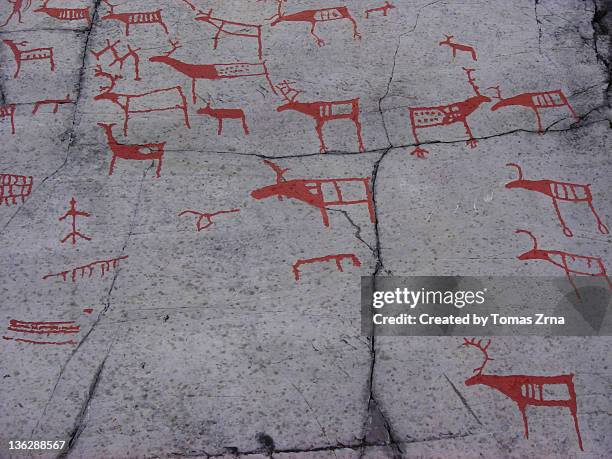 rock carvings - fries stockfoto's en -beelden