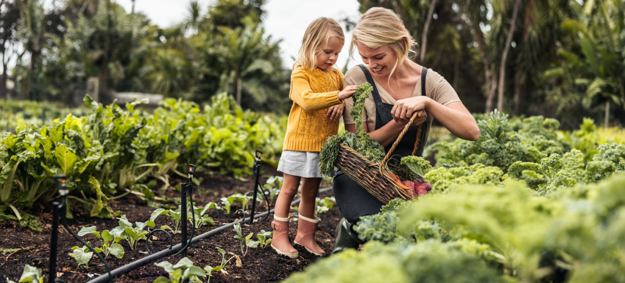 eco friendly gardening