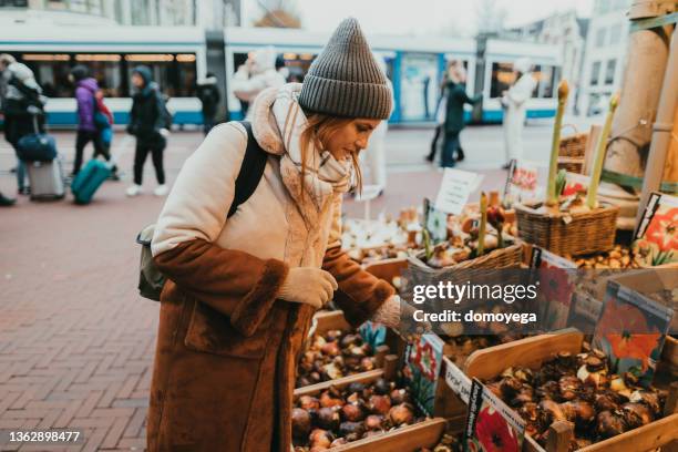 turista che sceglie i bulbi di tulipano in un venditore ambulante ad amsterdam - winter vegetables foto e immagini stock