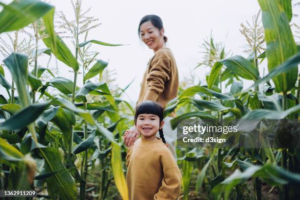 joyful asian mother holding hands of little daughter walking through corn field while daughter turning around looking at camera with smile. they are experiencing agriculture in organic farm. mother teaching daughter to learn to respect the mother nature - family smile stock-fotos und bilder