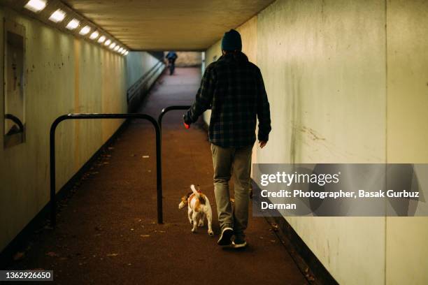rear view of a man and a dog walking through an underpass in the city - middle age man and walking the dog stockfoto's en -beelden