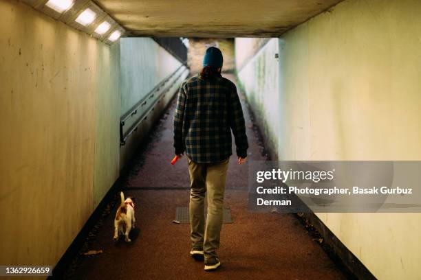 rear view of a man and a dog walking through an underpass in the city - middle age man and walking the dog stockfoto's en -beelden