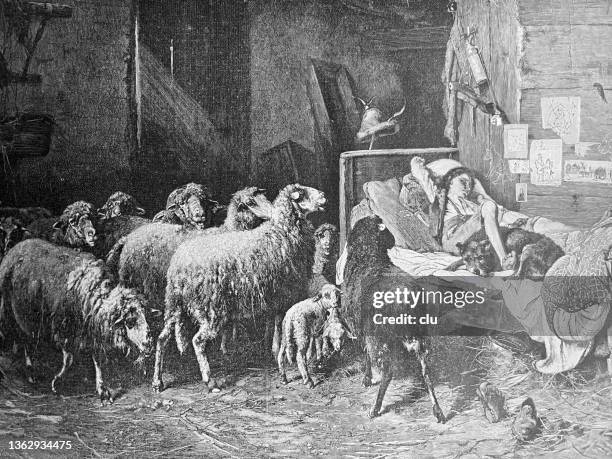 sheep want out and wake up the sleeping shepherd - sleep sheep stock illustrations