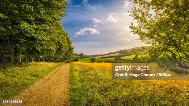 country walk in west sussex,scenic view of field against sky,stoughton,chichester,united kingdom,uk - chichester stockfoto's en -beelden
