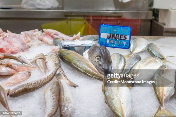 jack fish in mercado central (central market) in valencia, spain - dry ice food stock pictures, royalty-free photos & images