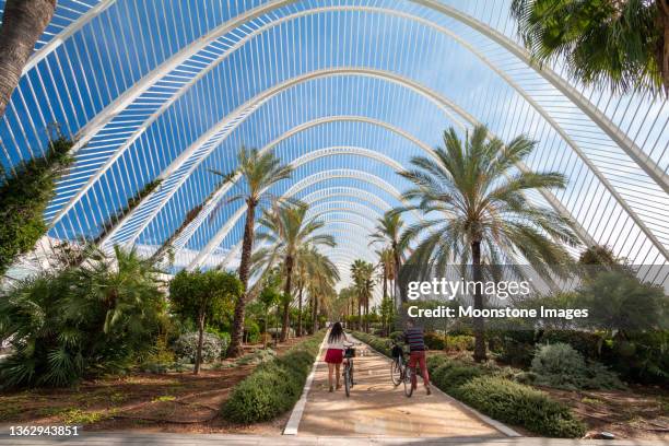 l’umbracle at city of arts and sciences (ciudad de las artes y las ciencias) in valencia, spain - ciutat de les arts i les ciències bildbanksfoton och bilder