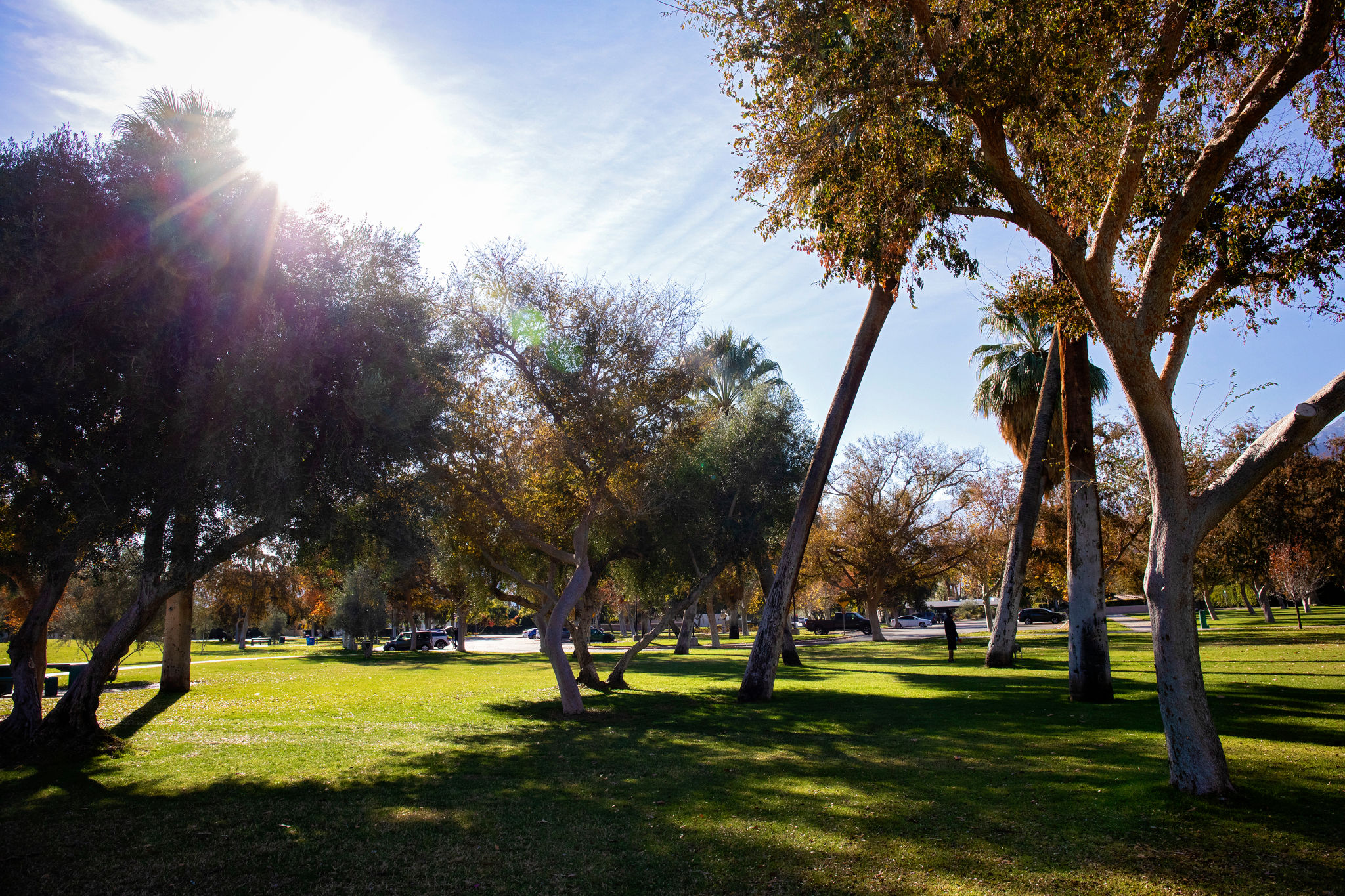 shavano park