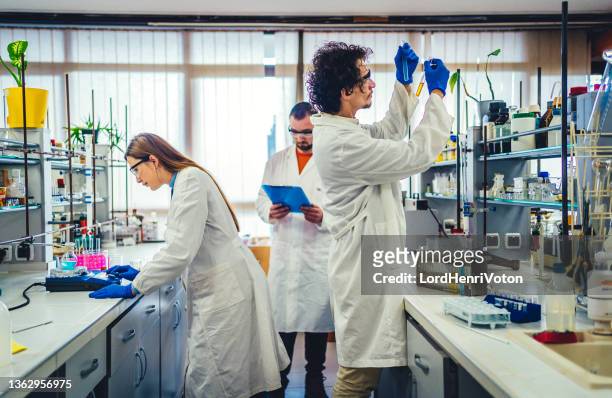 scientific researchers in the laboratory - chemical reaction stock pictures, royalty-free photos & images