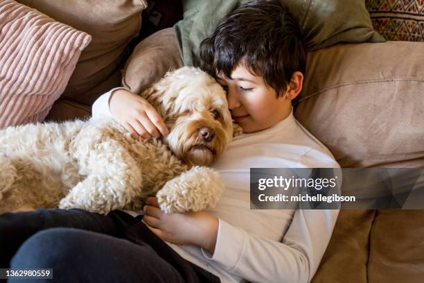 little boy and his dog - cockapoo 個照片及圖片檔