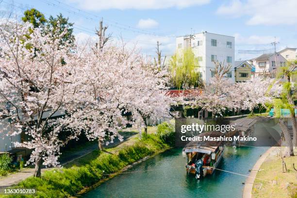 springtime view of the uji canal, kyoto city - uji kyoto stockfoto's en -beelden