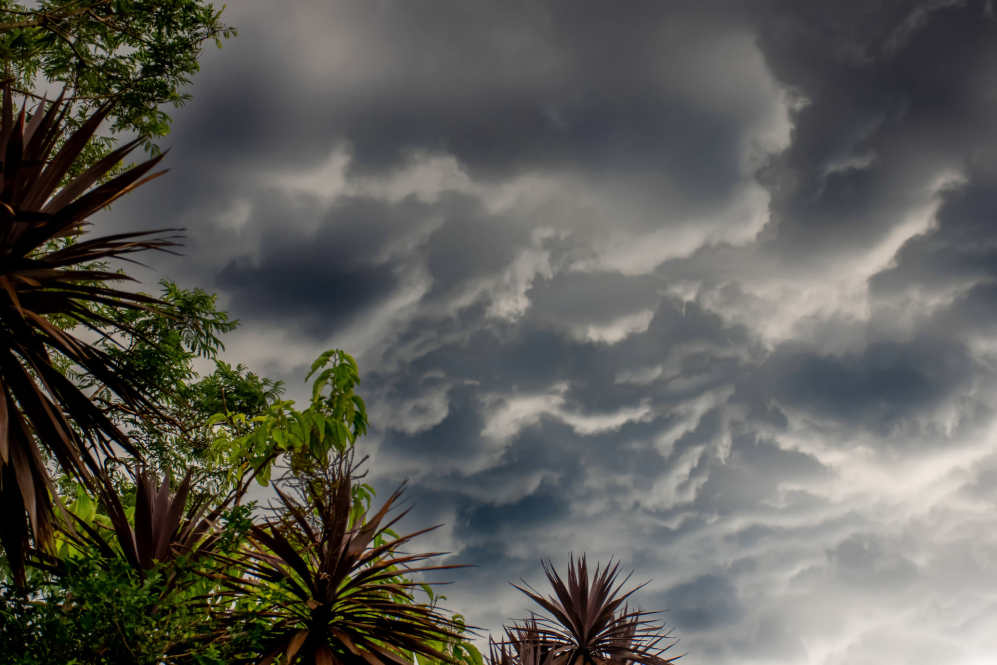 queensland weather