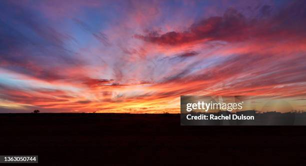 colorful sunset in outback australia - horizon over land stockfoto's en -beelden