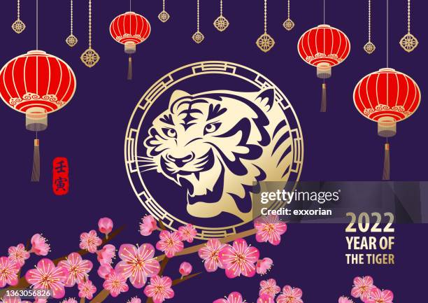 celebrate chinese new year with tiger - chinese festival stock illustrations