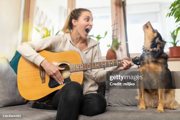 junge frau spielt gitarre, während ihr hund singt - bellen stock-fotos und bilder