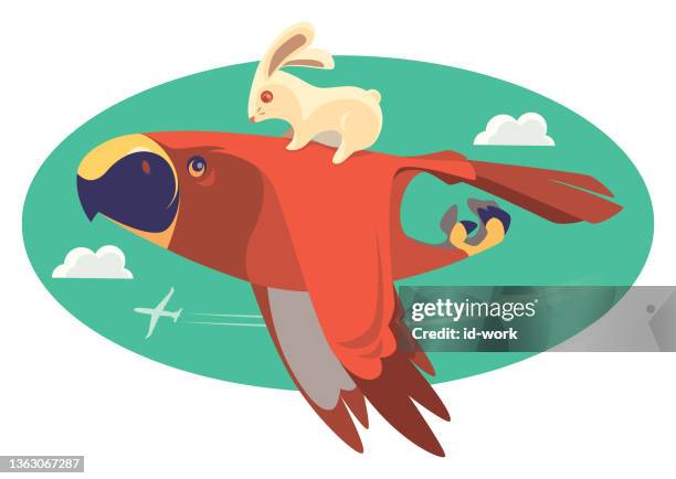 golden eagle flying and carrying hare - hare stock illustrations