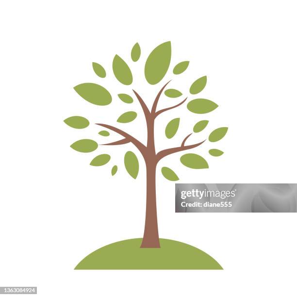 flat design tree icon isolated on a transparent background. - tree logo stock illustrations