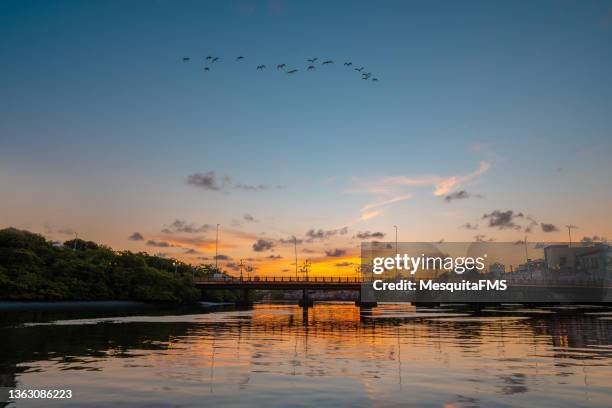 vista da ponte ao pôr do sol no rio - recife estado de pernambuco - fotografias e filmes do acervo