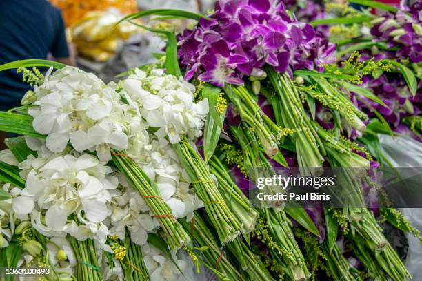 bunches of purple and white orchids at pak khlong talad flower market, bangkok, thailand - lisianthus stock pictures, royalty-free photos & images