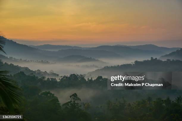 munnar - misty hills at sunrise, western ghats, kerala, india - india "malcolm p chapman" or "malcolm chapman" stock-fotos und bilder