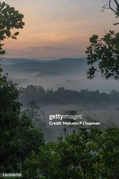 munnar - misty hills at sunrise, western ghats, kerala, india - munnar photos et images de collection