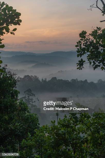 munnar - misty hills at sunrise, western ghats, kerala, india - munnar stockfoto's en -beelden