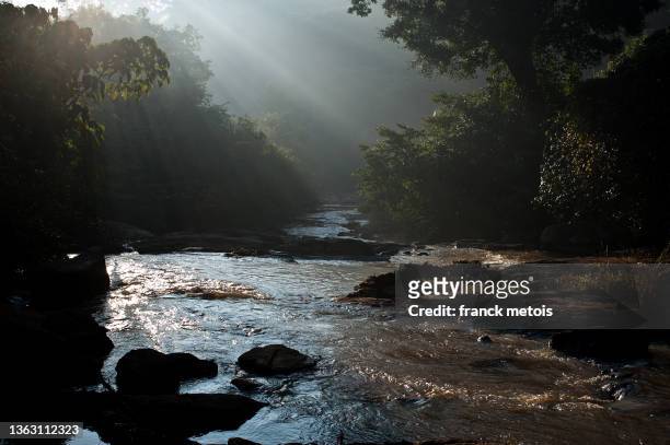 river in the jungle ( india) - odisha stock-fotos und bilder