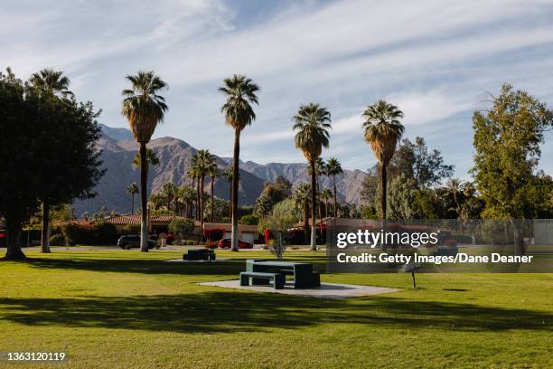palm springs - palm desert stock pictures, royalty-free photos & images