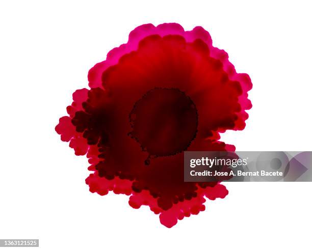 drops of red paint slides on a white canvas. - red blood cells photos et images de collection