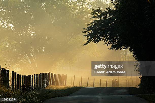 fence lined rural road at sunrise - rural kentucky stock pictures, royalty-free photos & images