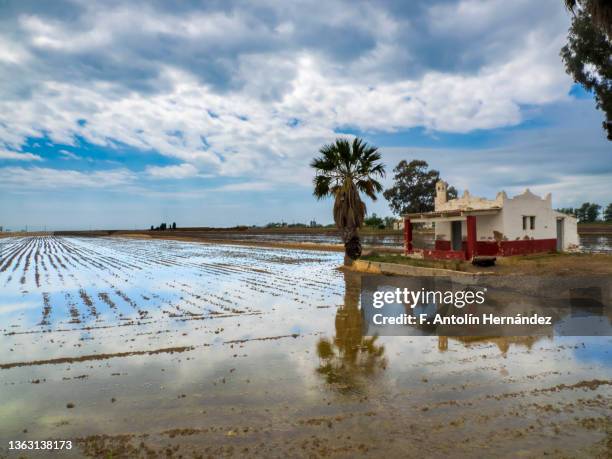 delta del ebro - delta ebro fotografías e imágenes de stock