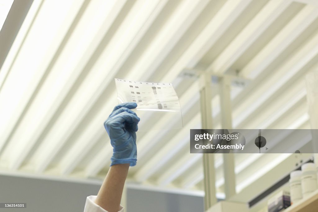 Laboratory technician examines DNA sequence