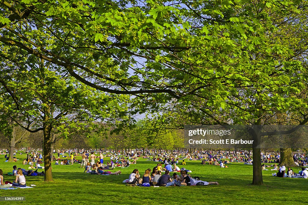 People in Hyde Park. Summer