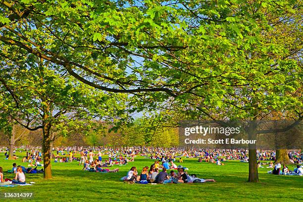 people in hyde park. summer - hyde park westminster foto e immagini stock