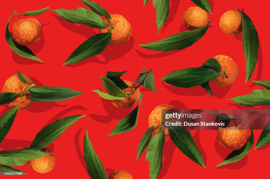 Exotic pattern with mandarins