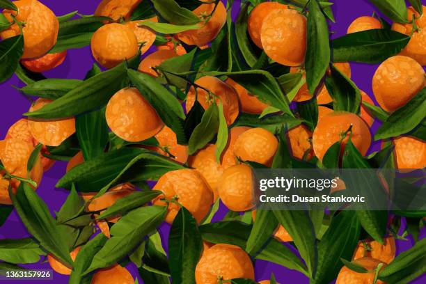exotic and fresh mandarin - orange tree stock illustrations