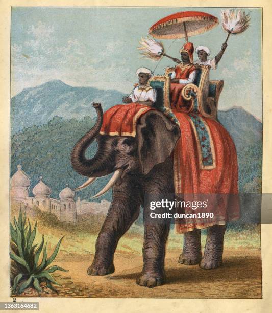 ilustraciones, imágenes clip art, dibujos animados e iconos de stock de maharaja montado en un howdah en elefante indio, india, victoriano, 1880s, siglo 19 - indian subcontinent ethnicity