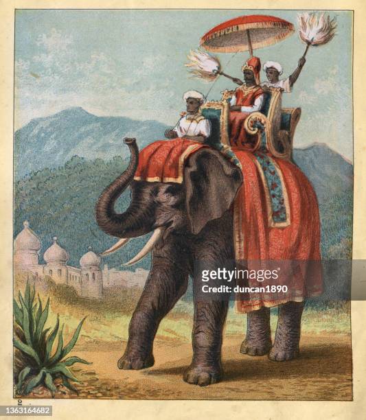 maharaja riding on a howdah on indian elephant, india, victorian, 1880s, 19th century - riding elephant stock illustrations