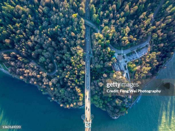 lions gate bridge & stanley park, vancouver, british columbia, canada - stanley park vancouver canada stock pictures, royalty-free photos & images