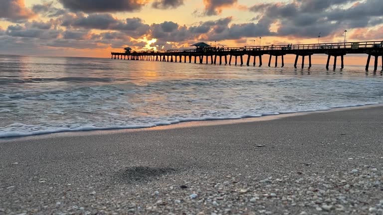 https://media.gettyimages.com/id/1363170013/video/fort-lauderdale-beach-at-dawn.jpg?b=1&s=640x640&k=20&c=lWvz8aQ_zcyBk3nd1fembqic7IZjX-fUmzCBBth9-es=