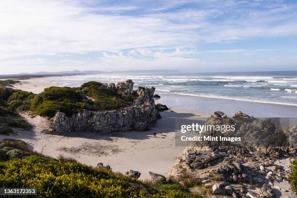 voelklip beach on the atlantic ocean coastline of the western cape - hermanus bildbanksfoton och bilder