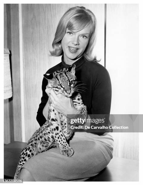 Actress Anne Francis as 'Honey West' holds her on screen pet Ocelot named 'Bruce' in a publicity shot from the TV Series 'Honey West' 1965, United...