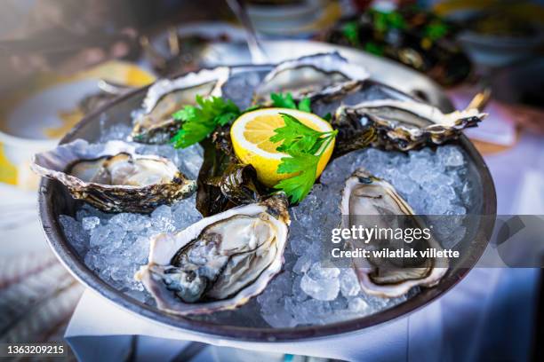 half dozen fresh oysters are served with lemon in bowl with plenty of ice. - oyster stock-fotos und bilder